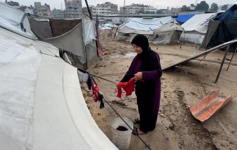 وزارة التنمية الاجتماعية بقطاع غزة: ارتفاع عدد الأرامل إلى 28.224