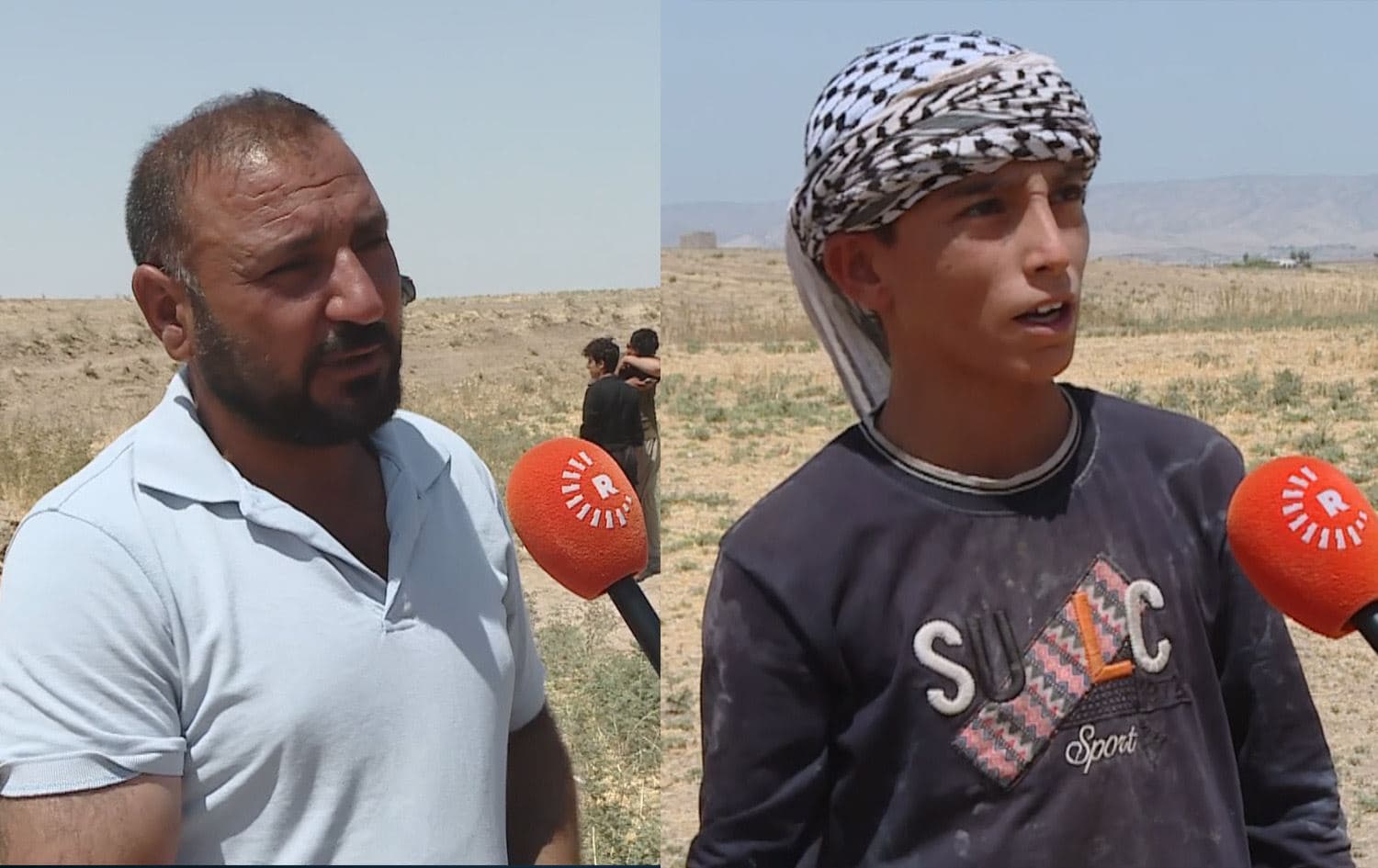 شيخان.. هجوم لذئبين يخسر راعياً 30 ألف دولار جراء نفوق 108 رؤوس من أغنامه
