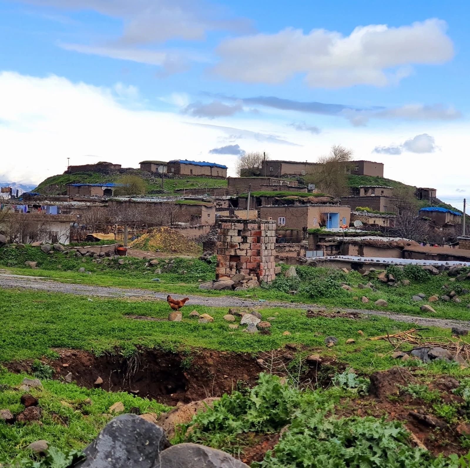 قرية قصر ديب، شمال مدينة ديرك في روجآفا كوردستان